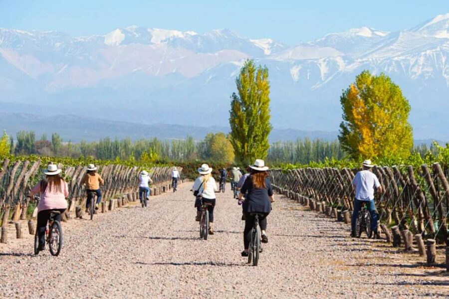 Mendoza – Vino en Bici
